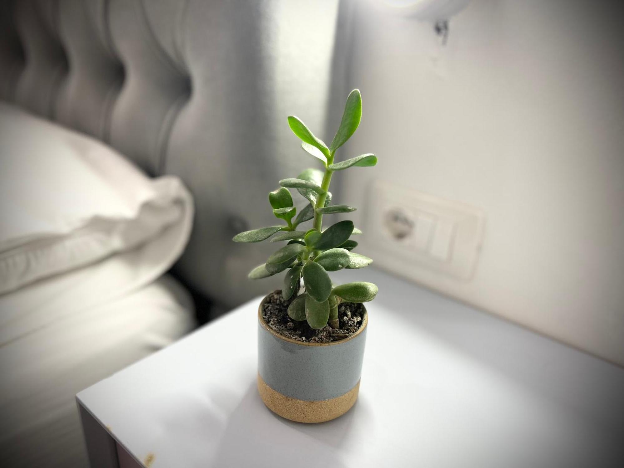 Tirana Square Hotel 外观 照片